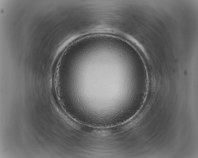 X0000082681415200701261144