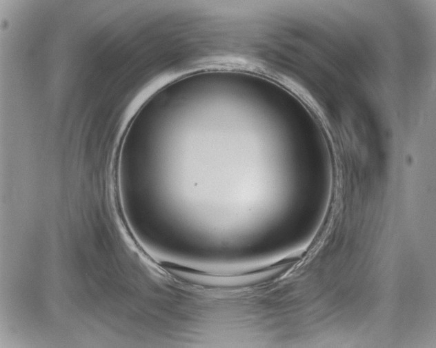 X0000082681440200701261144