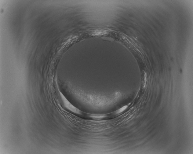 X0000082681441200701261144