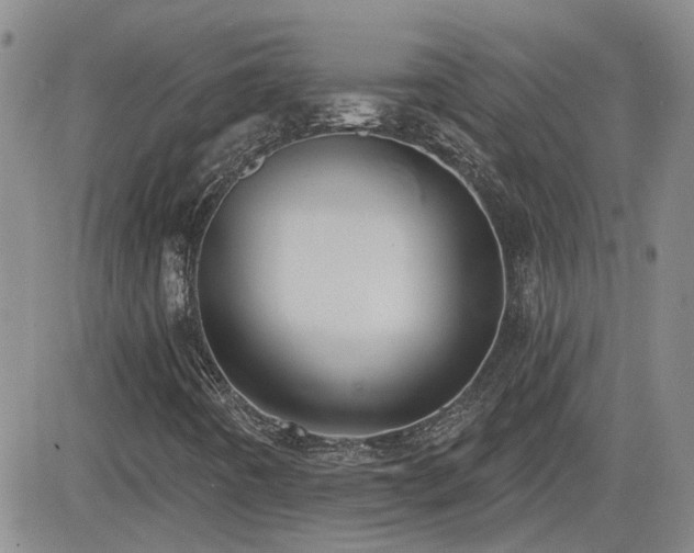 X0000082681442200701261144