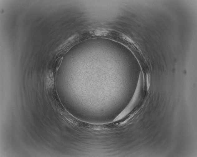 X0000082681443200701261144