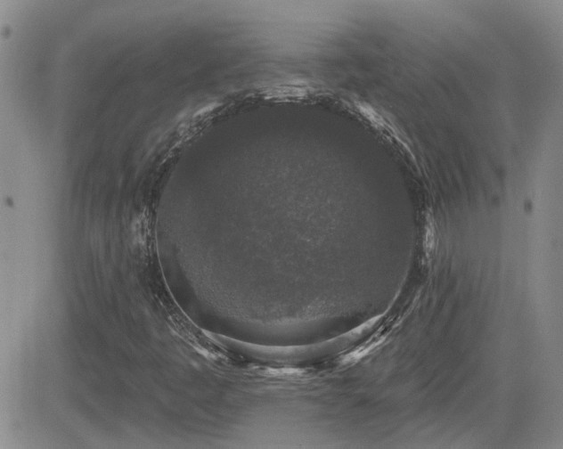 X0000082681445200701261144