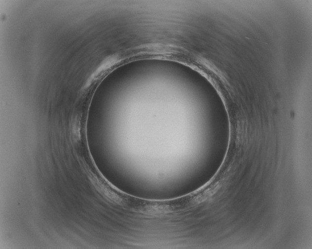 X0000082681451200701261143