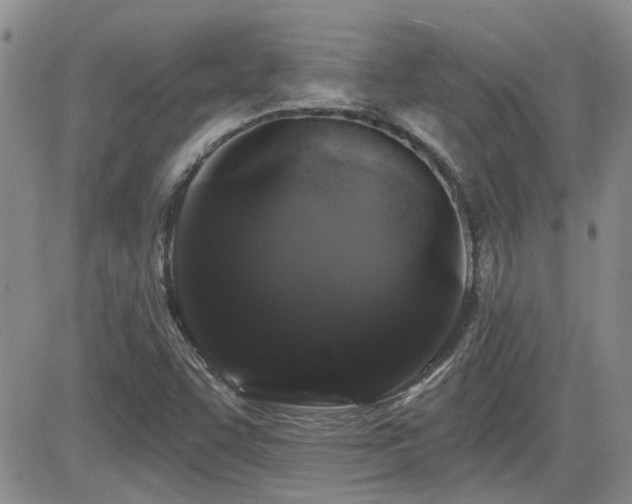 X0000082681455200701261143