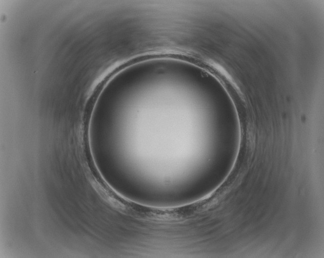 X0000082681460200701261143