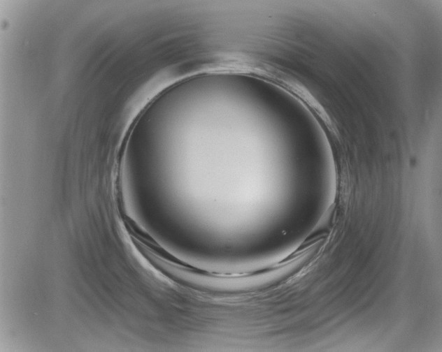X0000082681484200701261143
