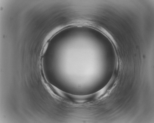 X0000082681485200701261143