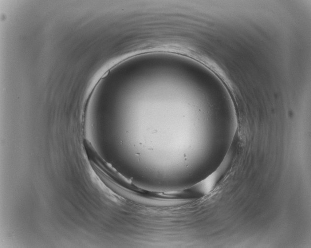 X0000082681532200701261143