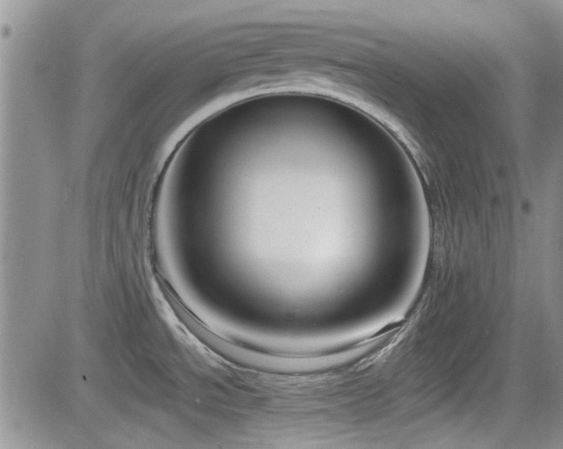 X0000082681534200701261143