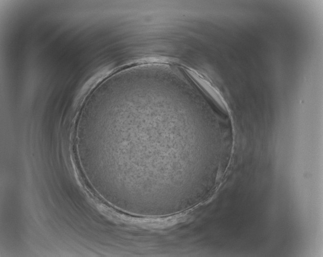 X0000082680001200702021239