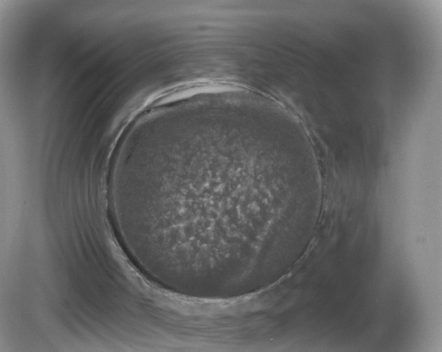 X0000082680002200702021238