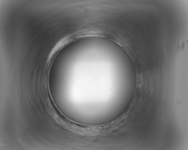 X0000082680004200702021238