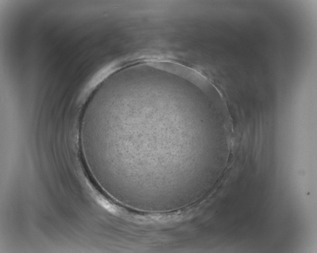 X0000082680005200702021238