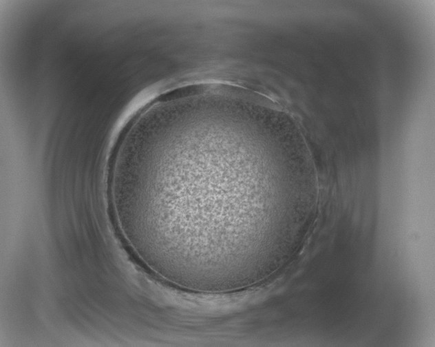 X0000082680006200702021238