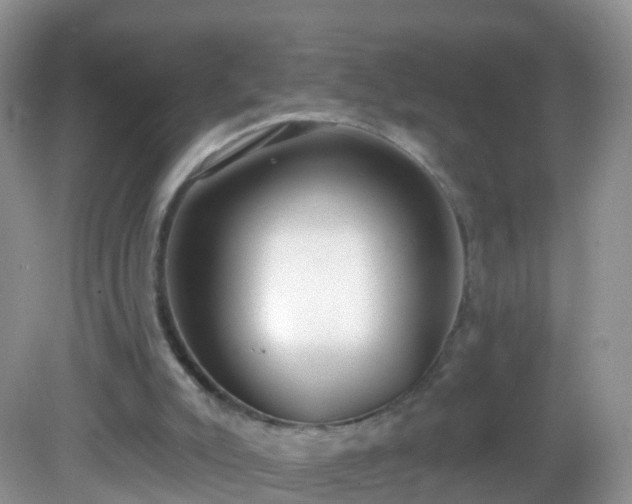 X0000082680007200702021238