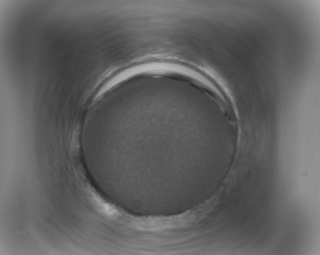 X0000082680009200702021238