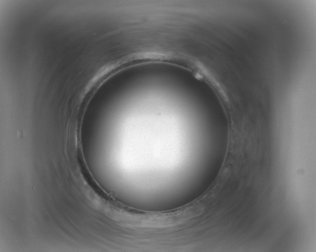 X0000082680011200702021238