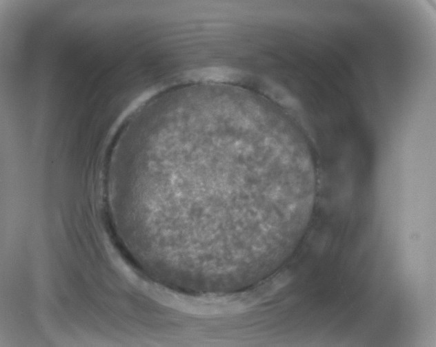 X0000082680012200702021238