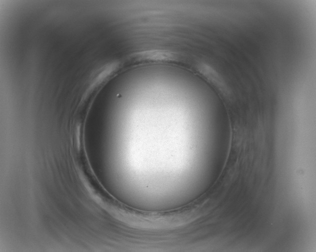 X0000082680014200702021238