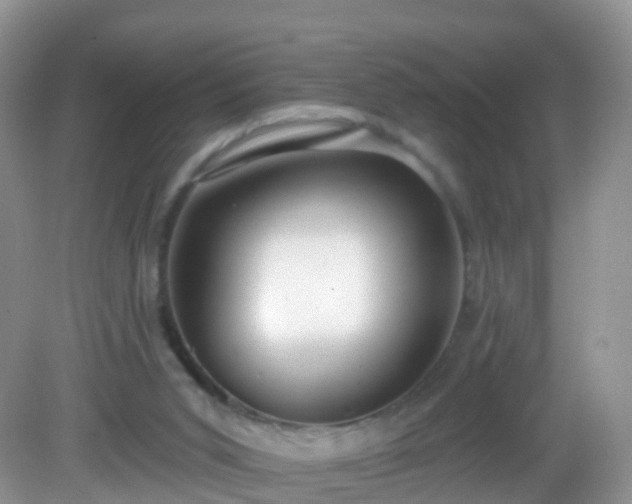 X0000082680015200702021238