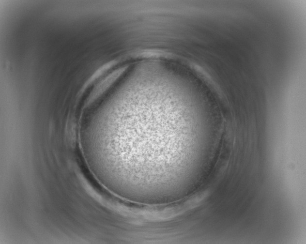 X0000082680016200702021238