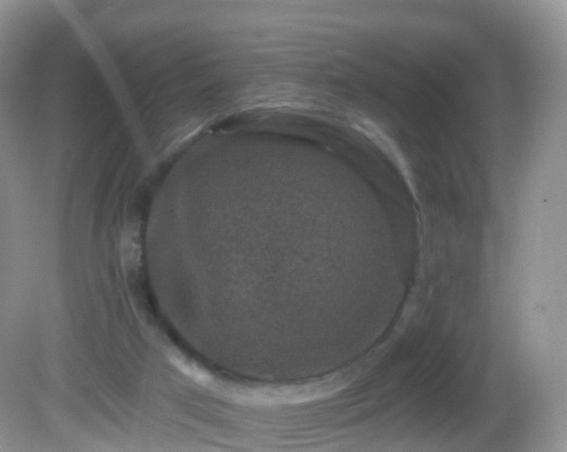 X0000082680017200702021238