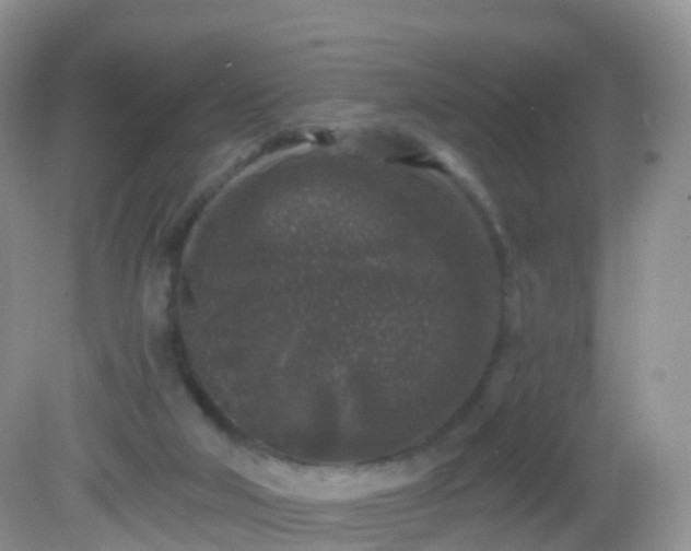 X0000082680018200702021238