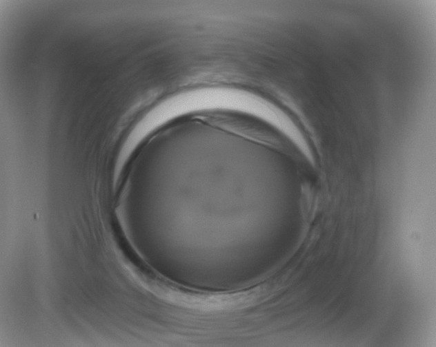 X0000082680019200702021238