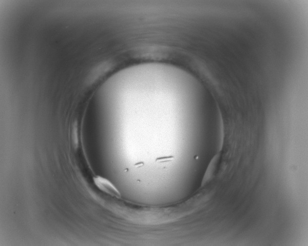 X0000082680020200702021238