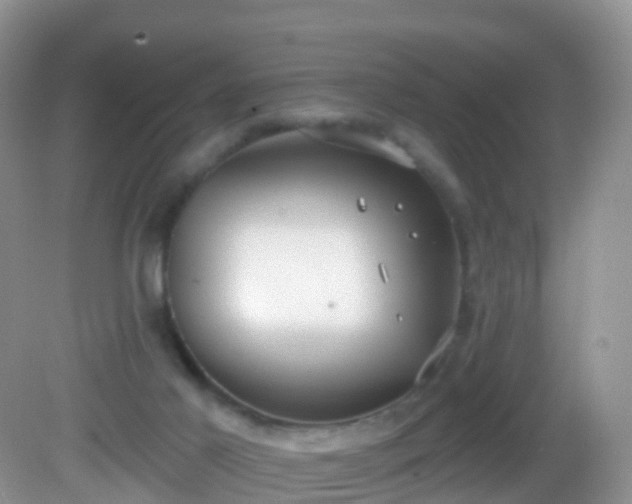 X0000082680021200702021238