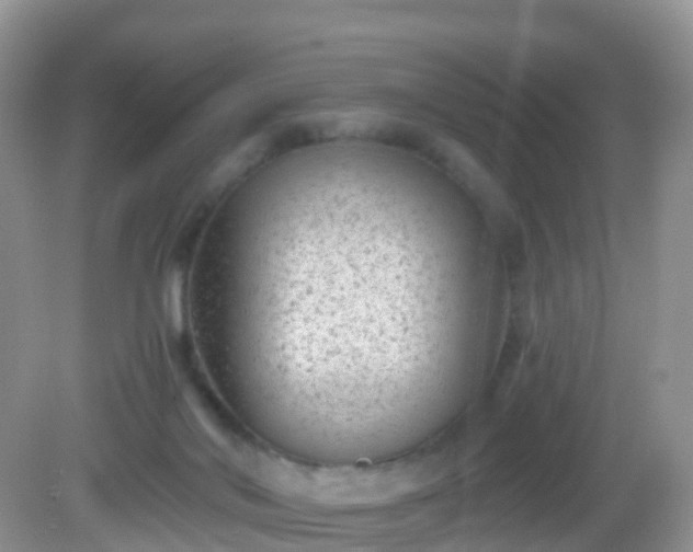 X0000082680022200702021238