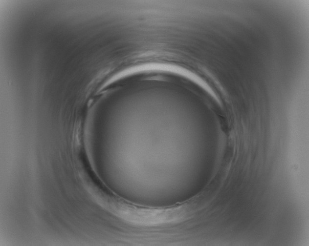 X0000082680023200702021238