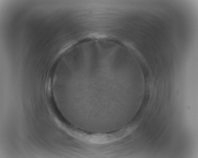 X0000082680024200702021238