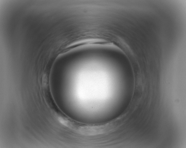 X0000082680025200702021238