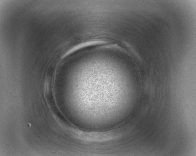 X0000082680026200702021238