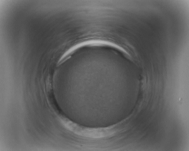 X0000082680029200702021238