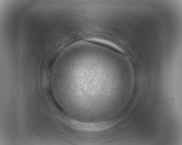 X0000082680030200702021238