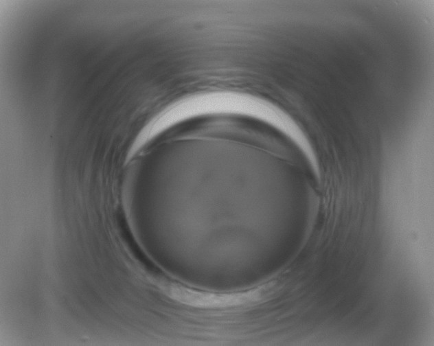 X0000082680031200702021238