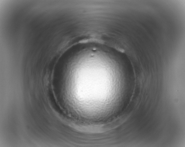 X0000082680032200702021238