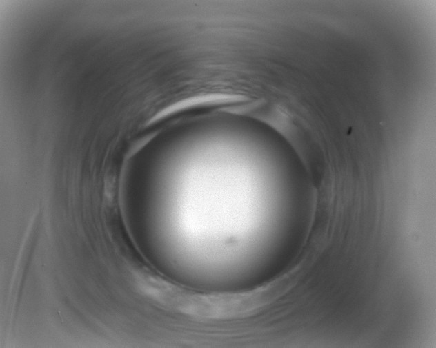 X0000082680033200702021238