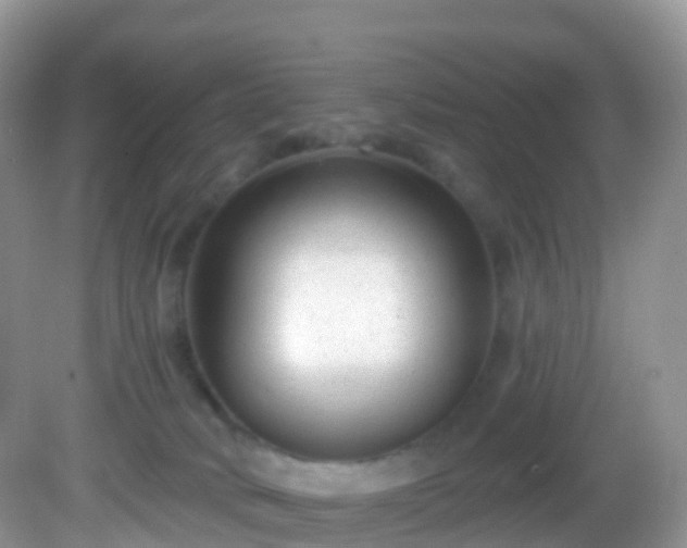 X0000082680034200702021238