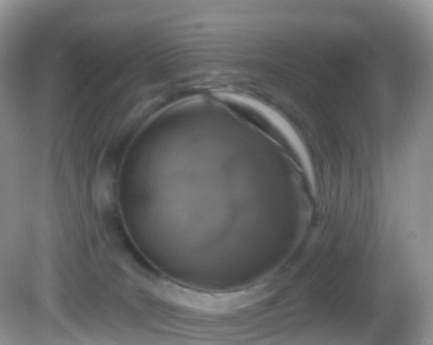 X0000082680035200702021238