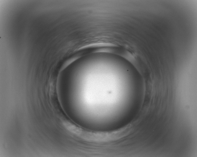 X0000082680037200702021238