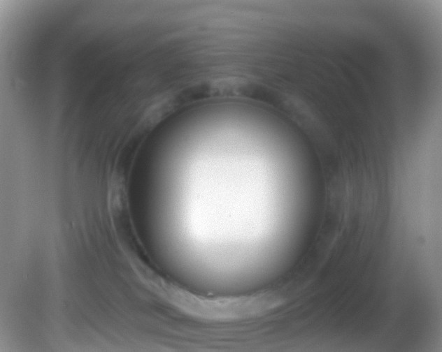 X0000082680038200702021238