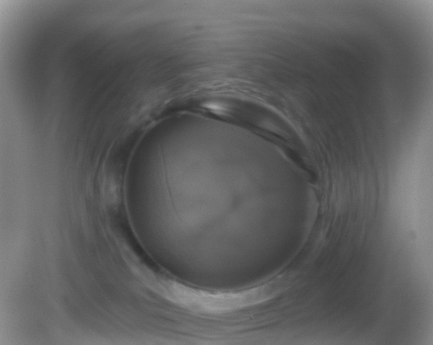 X0000082680039200702021238