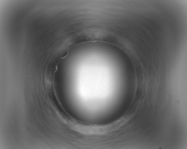 X0000082680040200702021238