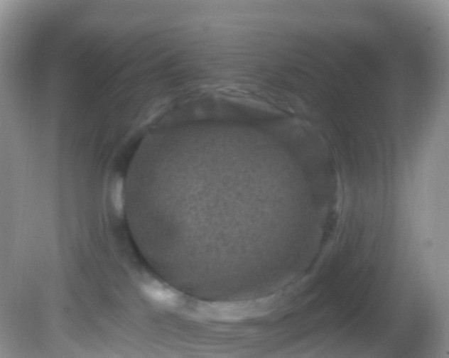 X0000082680041200702021238