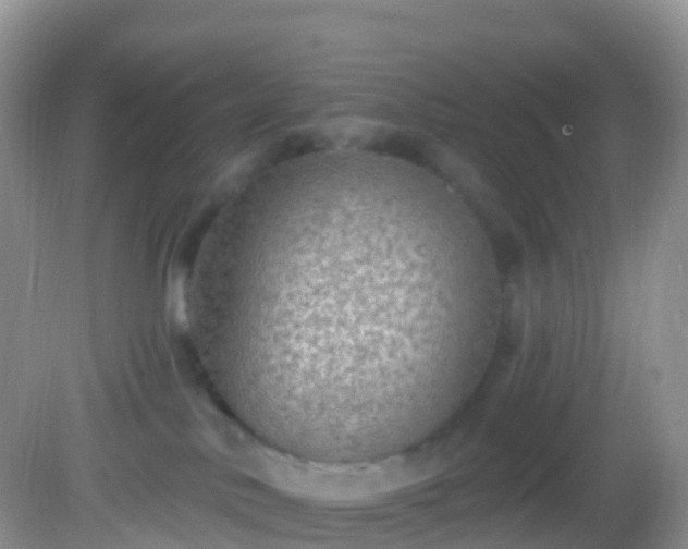 X0000082680042200702021238