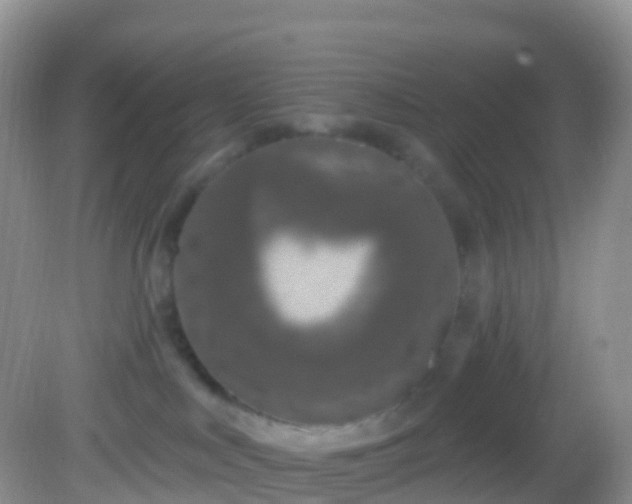 X0000082680043200702021238