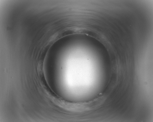 X0000082680044200702021238